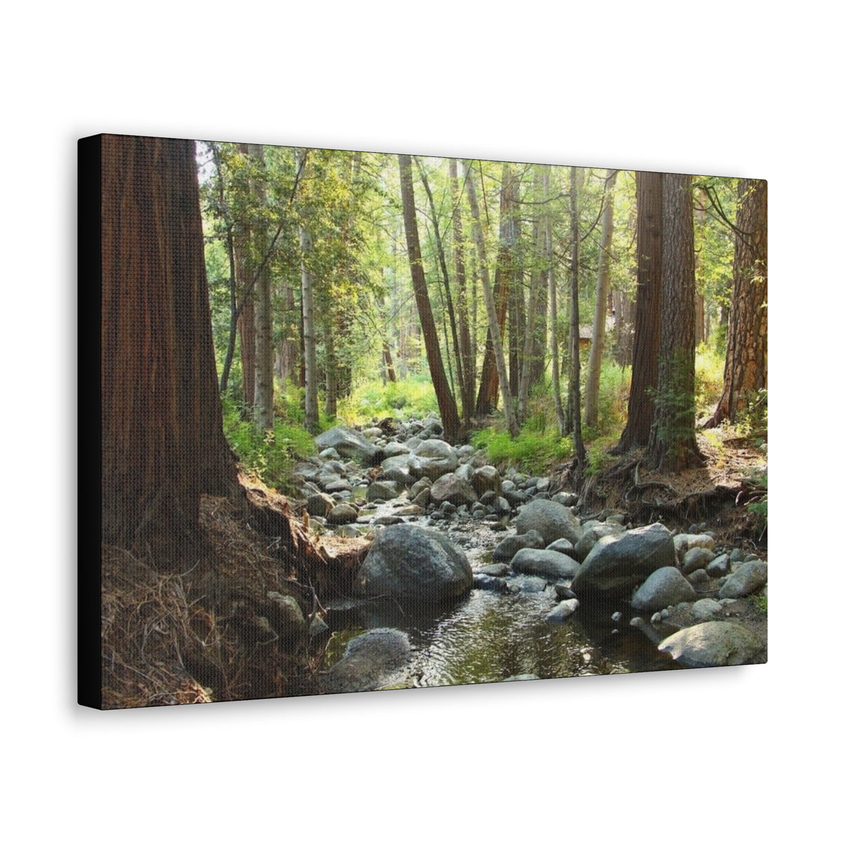 Canvas Gallery Wraps Creek