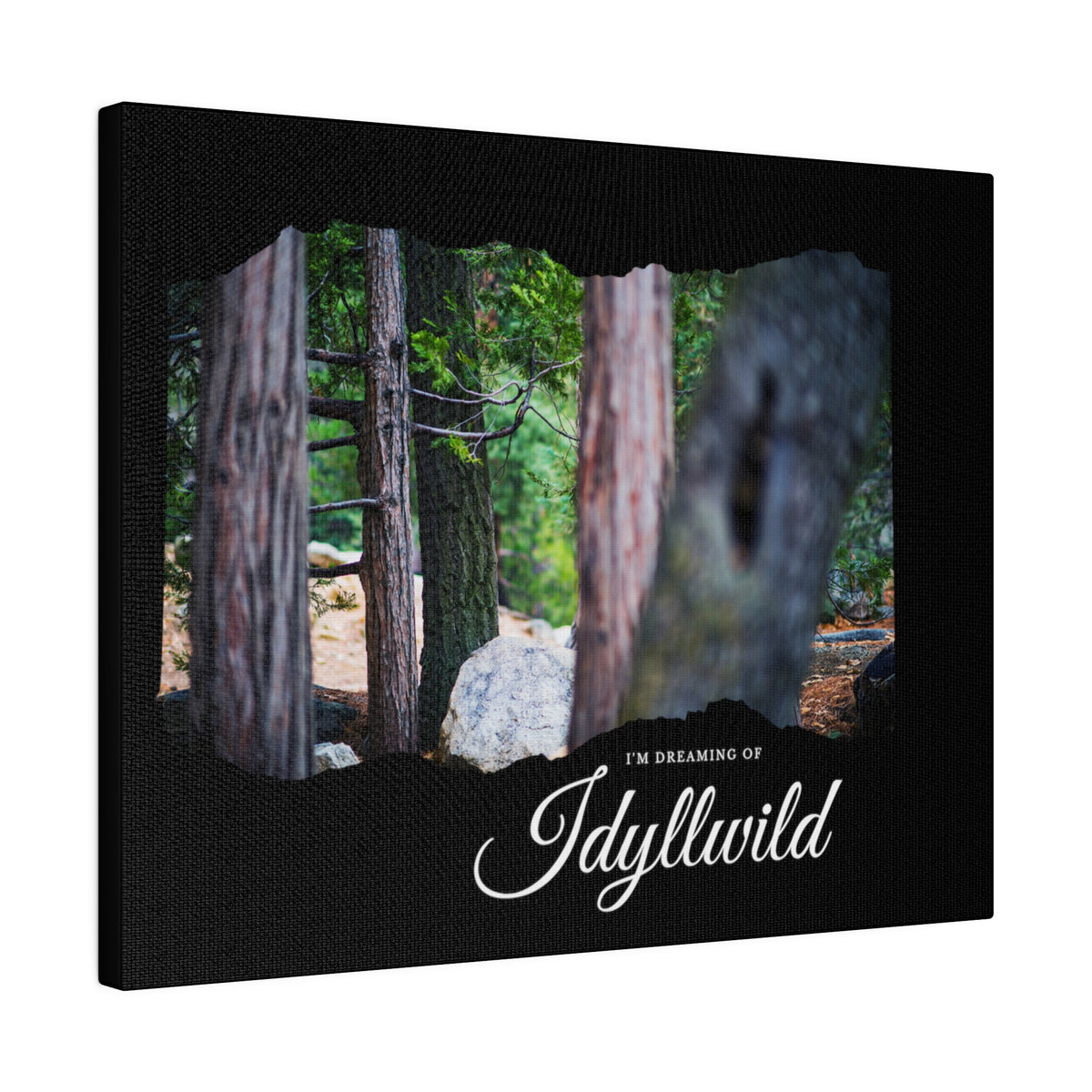 Matte Canvas, Stretched, 0.75" Dreaming of FOrest