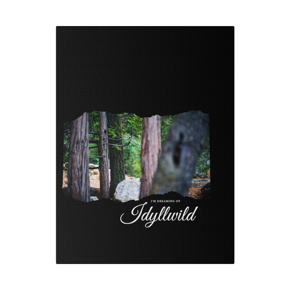 Matte Canvas, Stretched, 0.75" Dreaming of FOrest