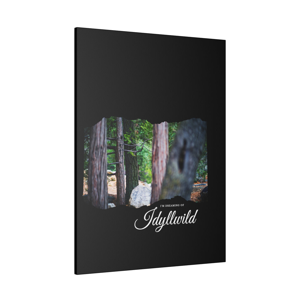 Matte Canvas, Stretched, 0.75" Dreaming of FOrest