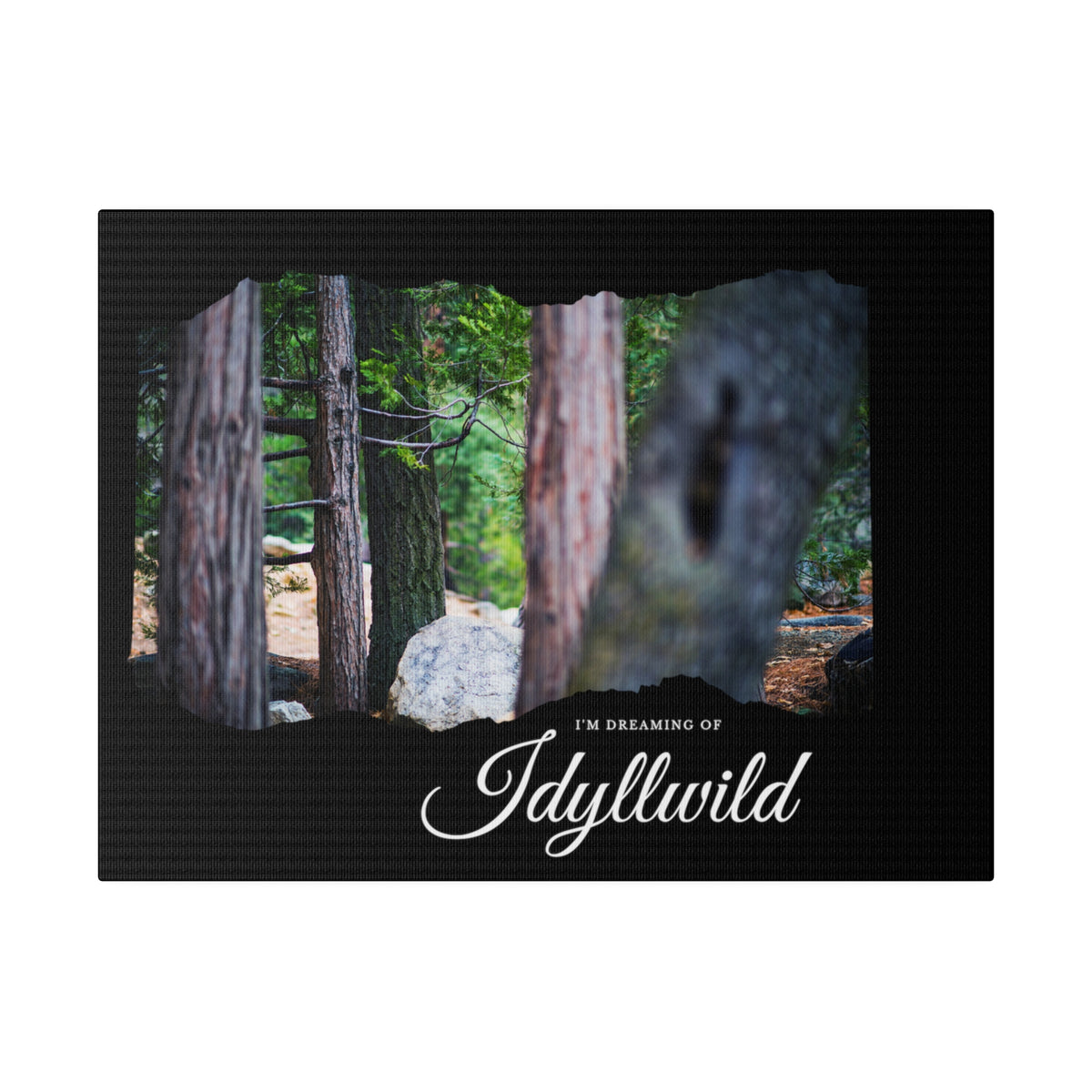 Matte Canvas, Stretched, 0.75" Dreaming of FOrest