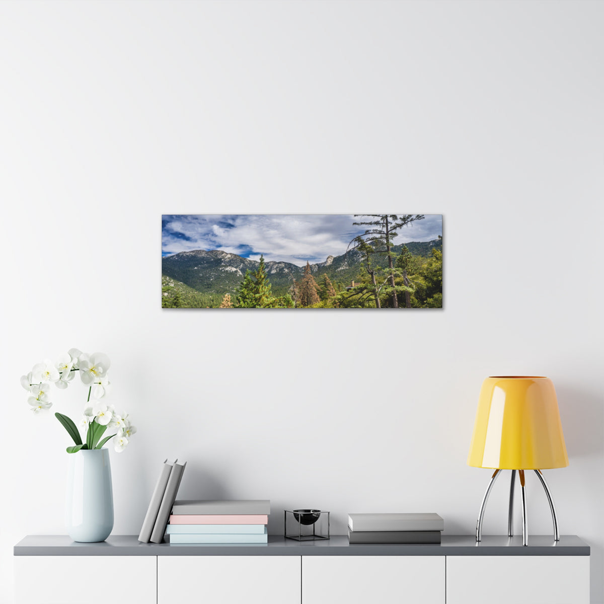 Canvas Gallery Wraps Mt Range Summer