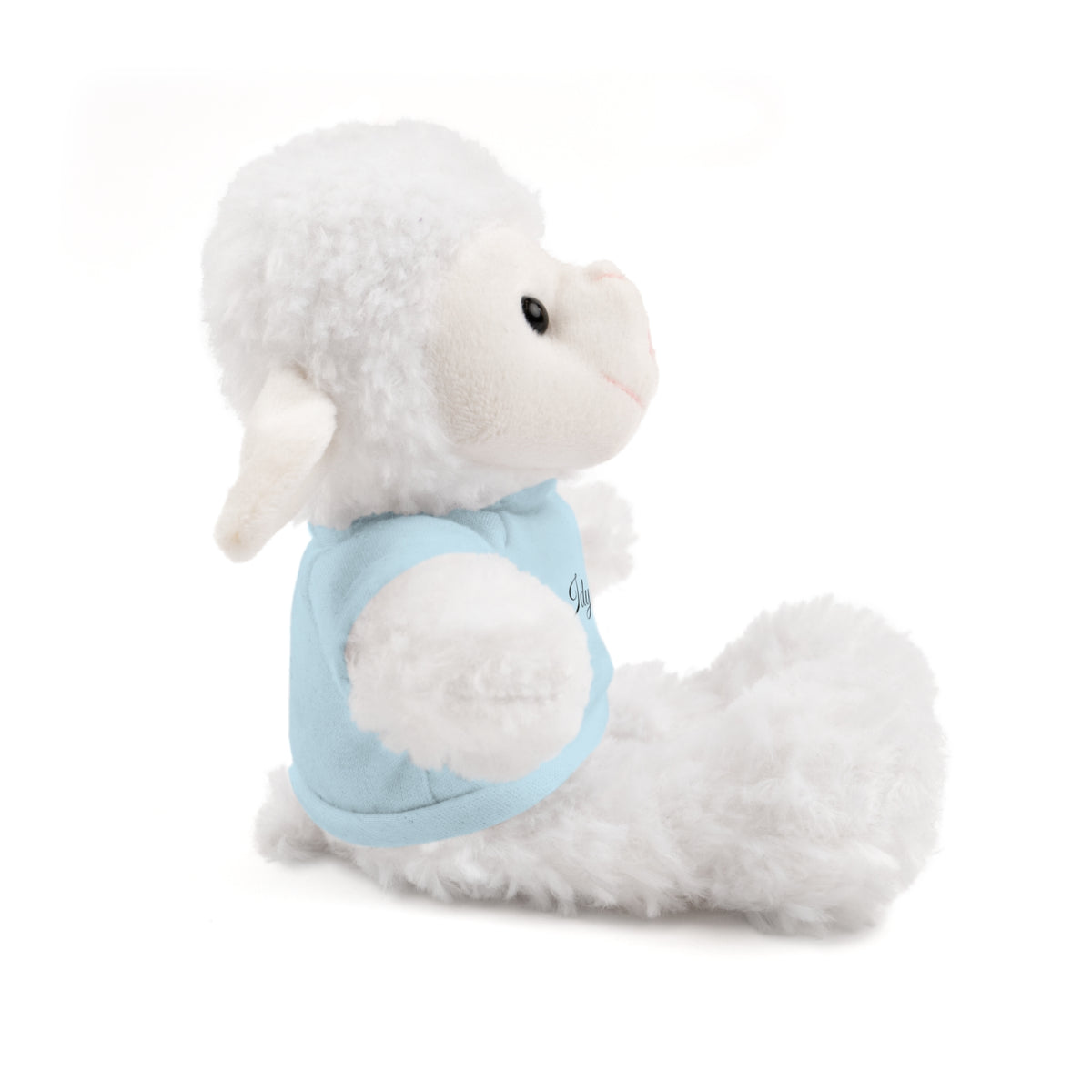 Stuffed Animals with Tee Idyllwild Gift Shop