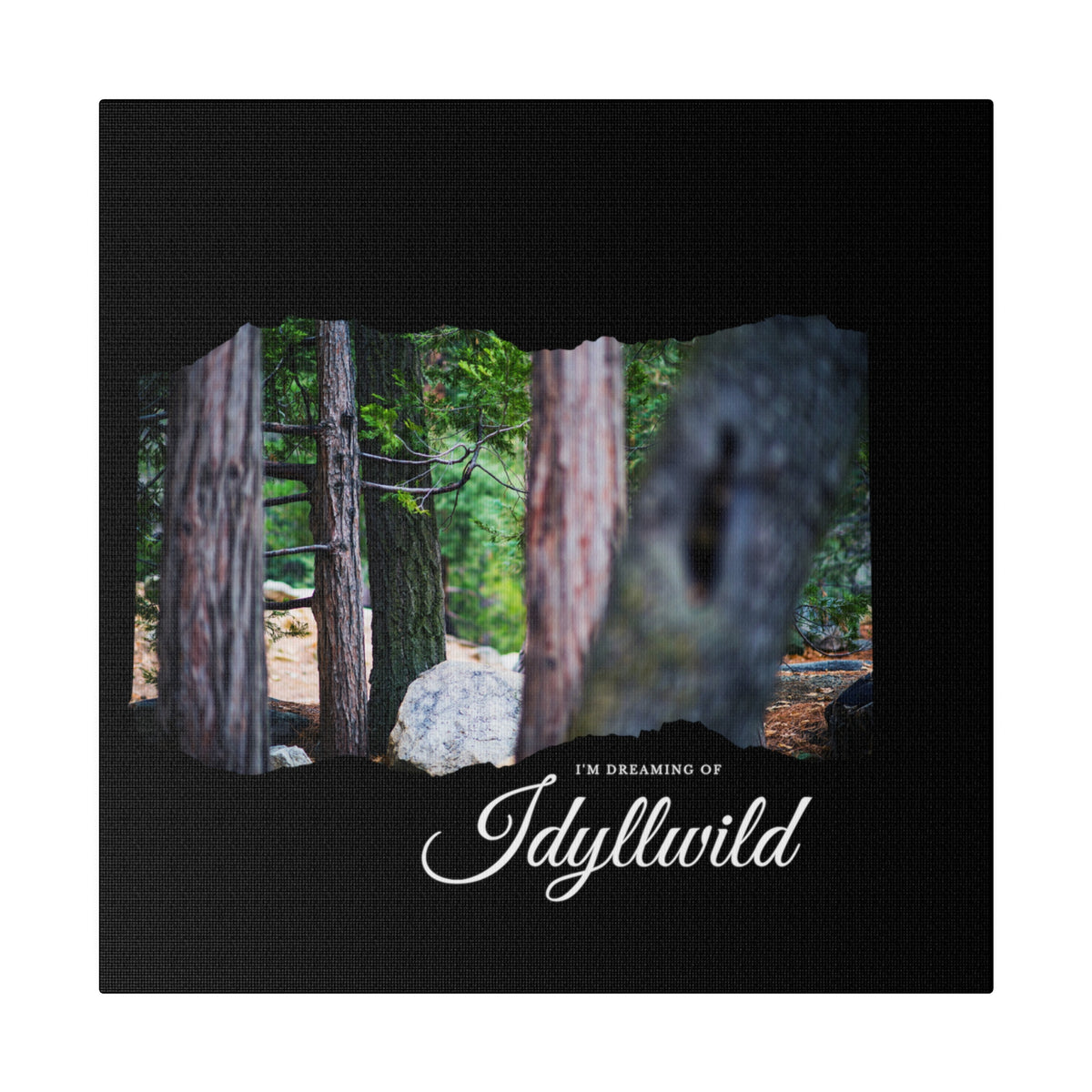 Matte Canvas, Stretched, 0.75" Dreaming of FOrest